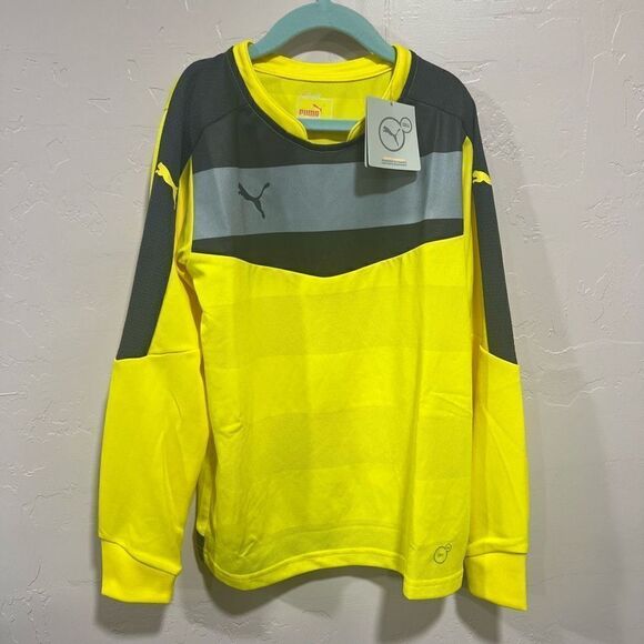 The Puma Stadium GK shirt - Picture 1 of 6